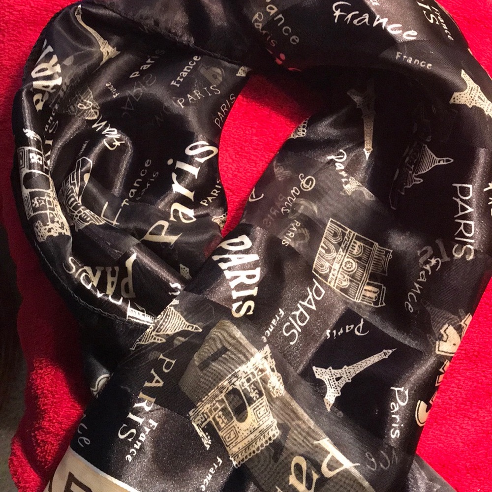 Beautiful Parisian scarf